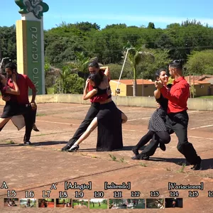 Imagen de portada para Curso online 20 lecciones de tango