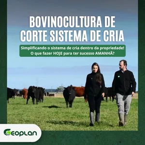 Imagem de capa para o Curso online Curso Pecuária de Cria: PRÉ-PARTO AO PRÉ- DESMAME