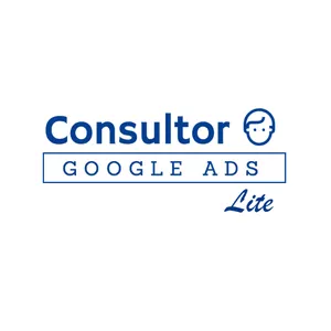 Imagen de portada para Curso online Consultor Google Ads (Lite)