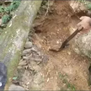 Imagem de capa para o Curso online Como ganhar dinheiro com garimpo