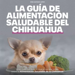 Imagen de portada para Ebook Guía de Alimentación Saludable para el Chihuahua