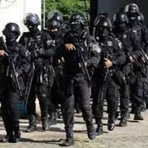 Imagem de capa para o Curso online Concurso Polícia Penal PI