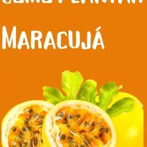 Imagem de capa para o Ebook Como Plantar Maracujá?