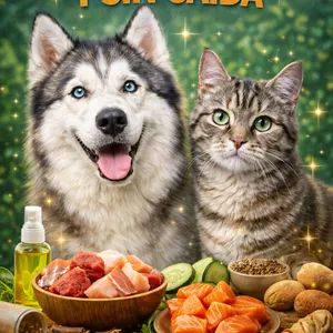 Imagen de portada para Ebook Pelo brillhante y Sin-Caída