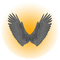 The Confidence Academy