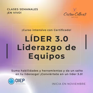 Imagen de portada para Curso online Lider 3.0 99USD