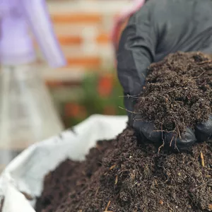 Imagen de portada para Curso online Uso y manejo de abonos orgánicos y fertilizantes en la Agricultura