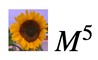 M5 Instructional Resources
