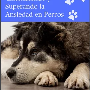 Imagen de portada para Ebook Domina la ansiedad en tu peludo