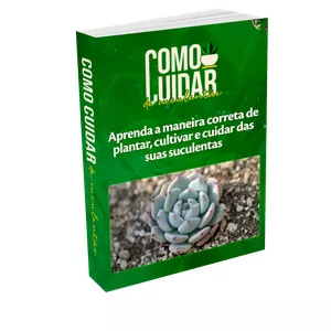 Imagem de capa para o Ebook Como Cuidar de Suculentas