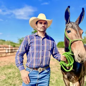 Imagem de capa para o Curso online Curso de doma e finalização para Equinos e Muares.