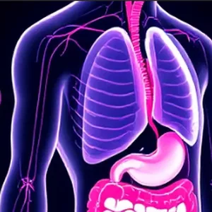Imagen de portada para Curso online Desintoxica tu hígado en solo 21 días