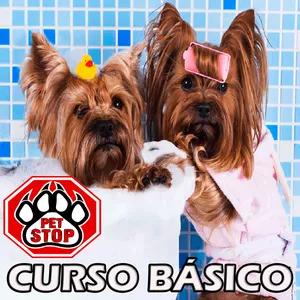 Imagem do curso 🐾 CURSO BÁSICO DE BANHO E TOSA 🐶