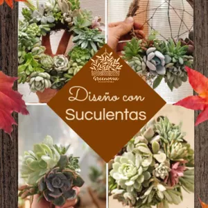 Imagen de portada para Curso online DISEÑO CON SUCULENTAS