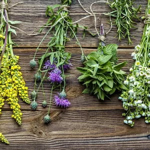 Imagen de portada para Curso online Hiervas medicinales