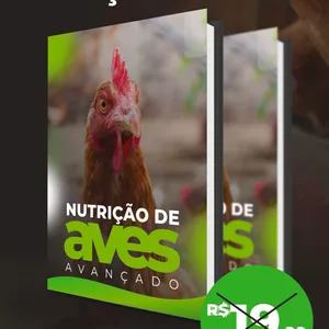 Imagem de capa para o Curso online Segredos da Nutrição de Aves