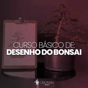 Imagem de capa para o Curso online Curso Básico de Desenho do Bonsai.