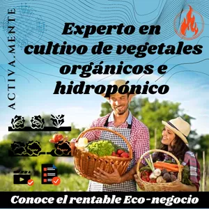 Imagen de portada para Curso online Experto en cultivo de vegetales orgánicos y cultivo hidropónico