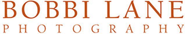 Lane Online Learning logo