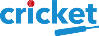 Cricket Mentoring logo