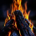 Foto do autor Walter morais Manuel