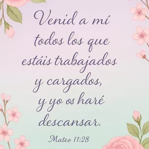 Imagen de portada para Curso online Detalles del corazón 