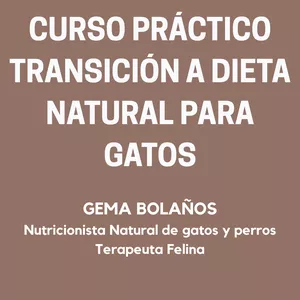 Imagen de portada para Curso online Curso Práctico para Cambiar a Dieta Natural a tu Gato