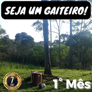 Curso Seja um Gaiteiro! - Aulas de Acordeon - 1° Mês