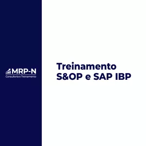 Imagem de capa para o Curso online Treinamento S&amp;OP e SAP IBP