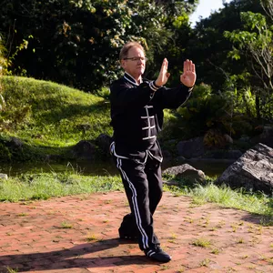 Imagem de capa para o Curso online Kung Fu Palma de Buda -Fo Zhǎng Quán  佛掌拳 