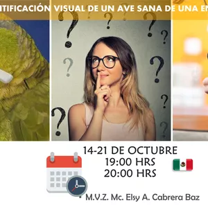 Imagen de portada para Curso online Identificación visual de un ave sana y de una enferma