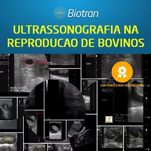 Imagem do curso Ultrassonografia na Reprodução de Bovinos