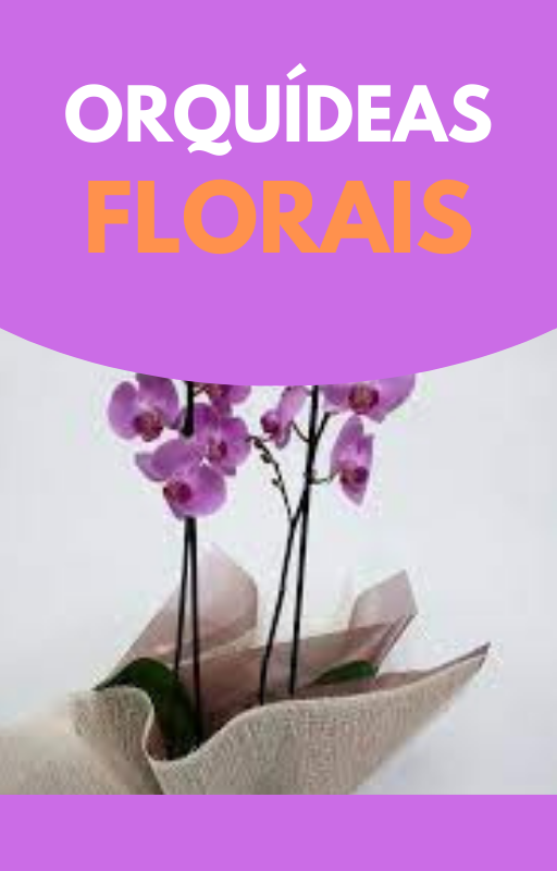 Orquídeas Florais