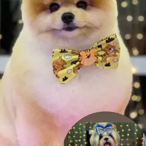 Imagem de capa para o Curso online Workshop Trimming Spitz e Tosa bebê com Chanel