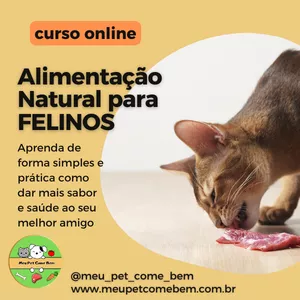 Imagem de capa para o Curso online CURSO DE ALIMENTAÇÃO NATURAL PARA GATOS 