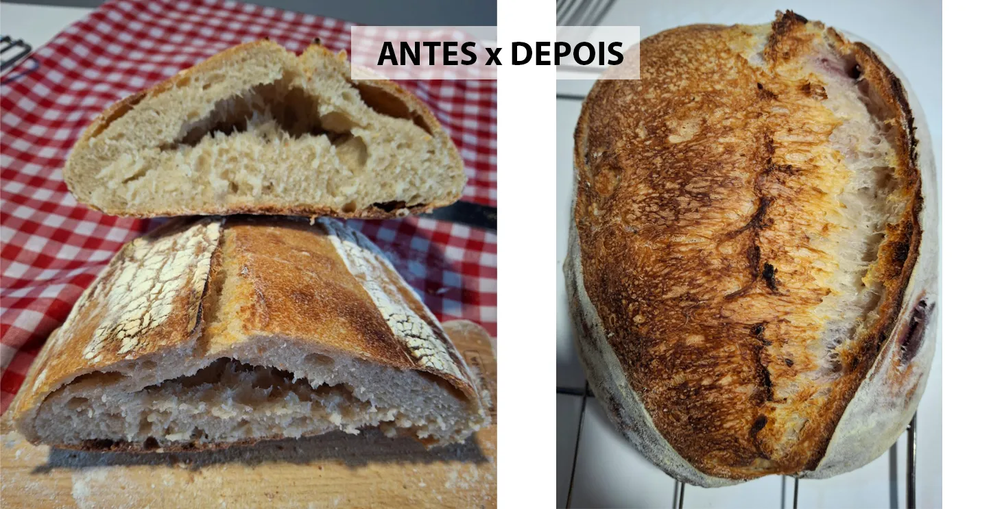 antes-depois6-pao-fermentacao-natural