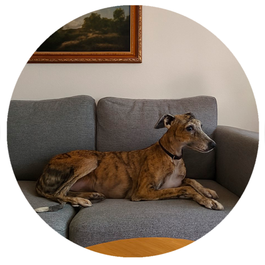 Sheila B. (España) por Nika su perrihija