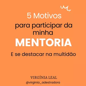 Imagem de capa para o Serviço online MENTORIA PROFISSIONAL