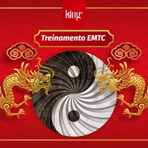 Imagem de capa para o Curso online Treinamento EMTC