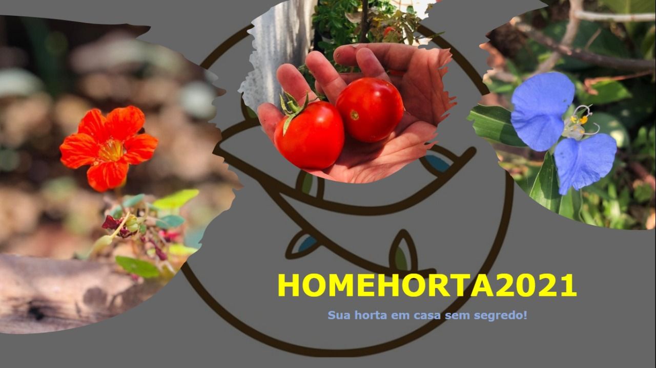 Imagem do curso Cultivo Doméstico e Consumo de PANCs - Plantas Alimentícias Não Convencionais 