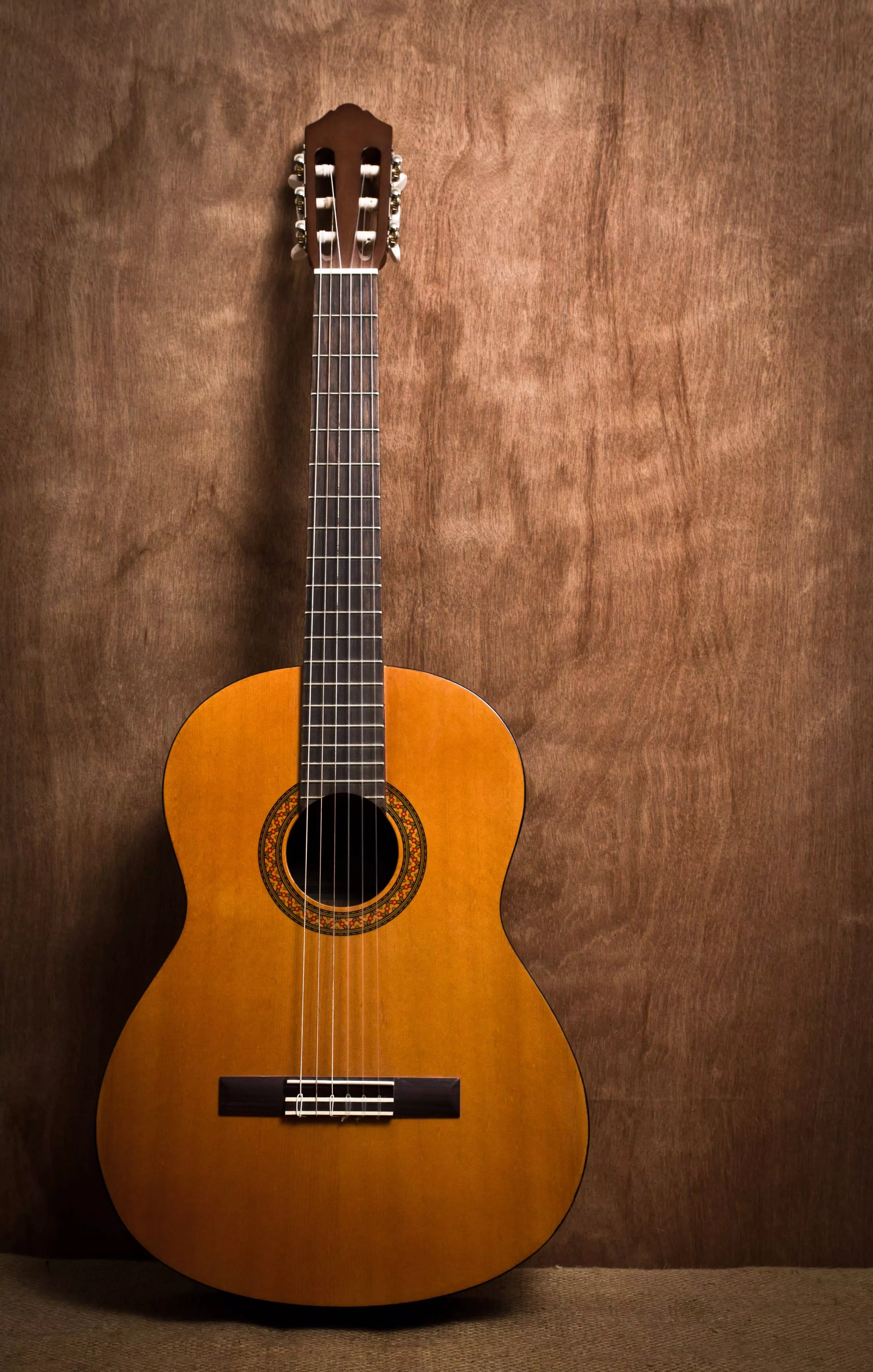 Violão para Todos - Começando do Básico — imagem 2