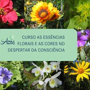 Imagem do curso As Essências Florais e as Cores no Despertar da Consciência (não inclui  livro e oráculo)