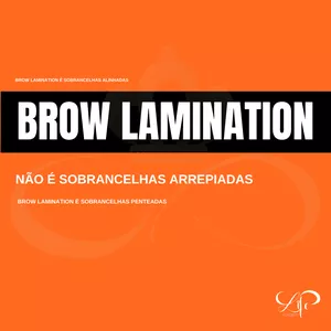 Imagem do curso Rainha Brow Lamination