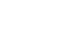 Equine Therapeutic Options