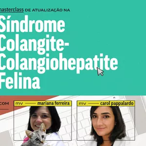 Imagem de capa para o Curso online Desvendando a Síndrome Colangite/Colangiohepatite Felina