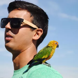 Truques do Crudi - para todas as aves