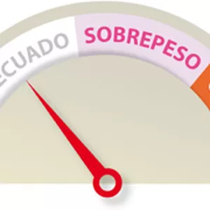 Imagen de portada para Servicio online Guia personalizada para tener tu peso ideal 