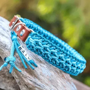 Cover image for Online course Profitable Pet Collar