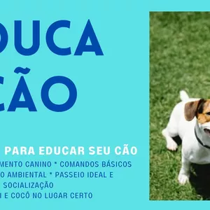 Imagem principal do produto EDUCA CÃO -guia prático para ter um cão equilibrado 