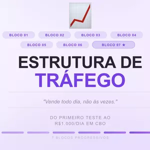 Imagem do curso Estrutura de Tráfego — Vende Todo Dia, Não Às Vezes